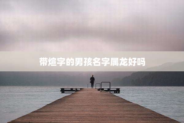 带煊字的男孩名字属龙好吗