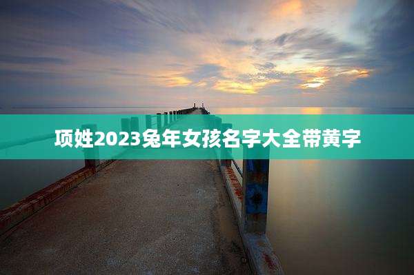 项姓2023兔年女孩名字大全带黄字