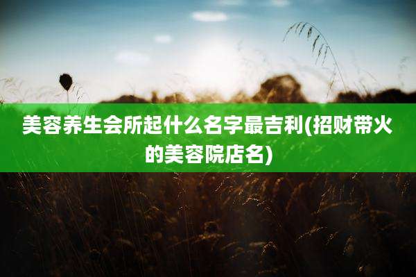美容养生会所起什么名字最吉利(招财带火的美容院店名)