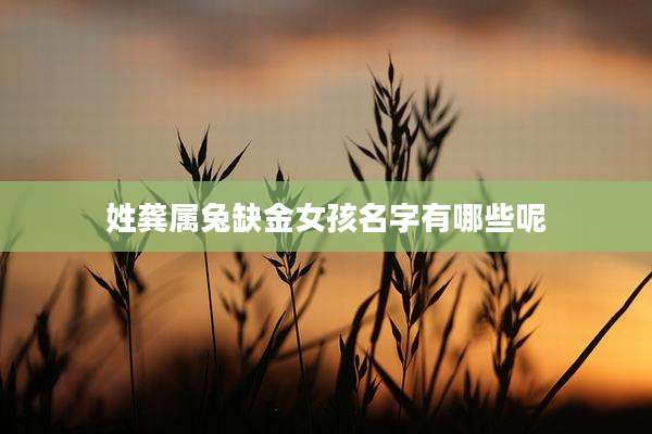 姓龚属兔缺金女孩名字有哪些呢