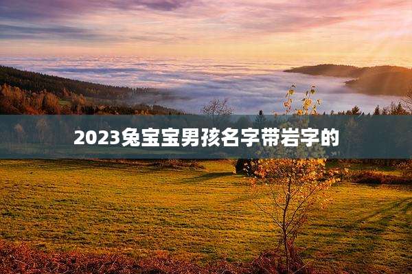 2023兔宝宝男孩名字带岩字的