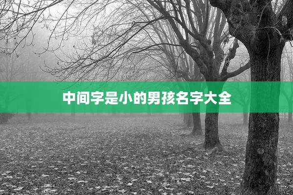 中间字是小的男孩名字大全