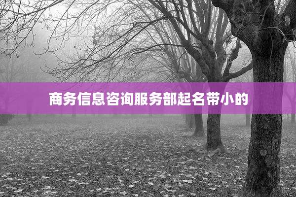 商务信息咨询服务部起名带小的