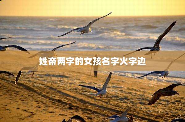 姓帝两字的女孩名字火字边