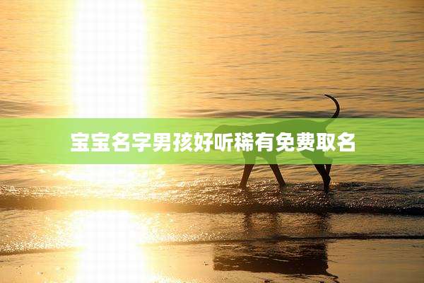 宝宝名字男孩好听稀有免费取名