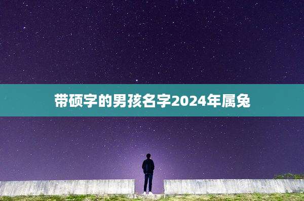 带硕字的男孩名字2024年属兔