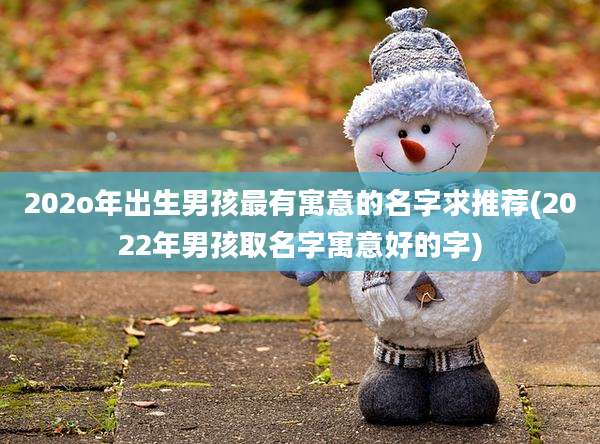 202o年出生男孩最有寓意的名字求推荐(2022年男孩取名字寓意好的字)