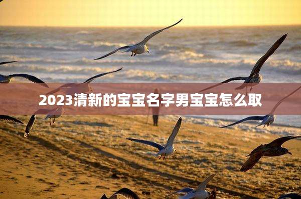 2023清新的宝宝名字男宝宝怎么取