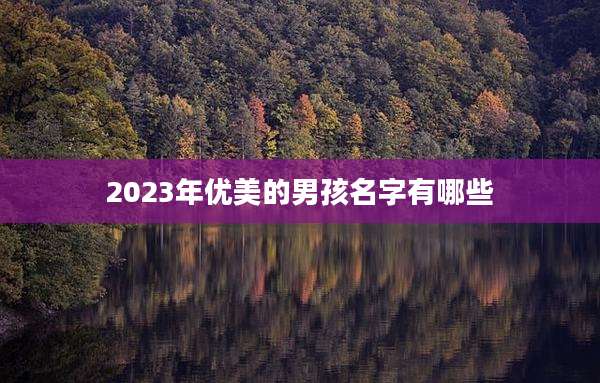 2023年优美的男孩名字有哪些