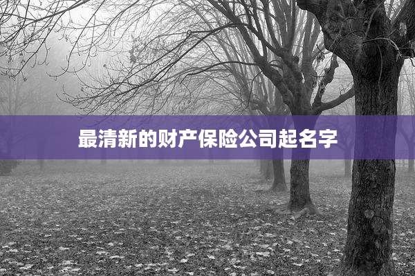 最清新的财产保险公司起名字