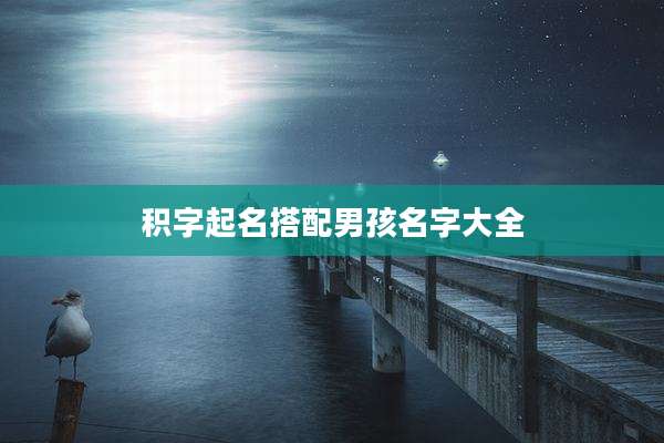 积字起名搭配男孩名字大全