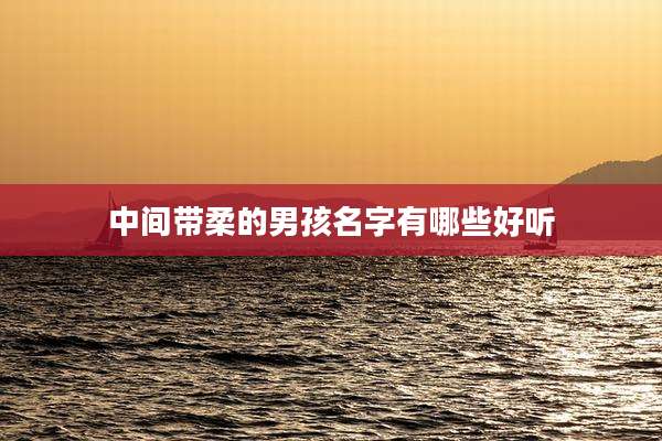 中间带柔的男孩名字有哪些好听