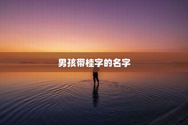 男孩带桂字的名字