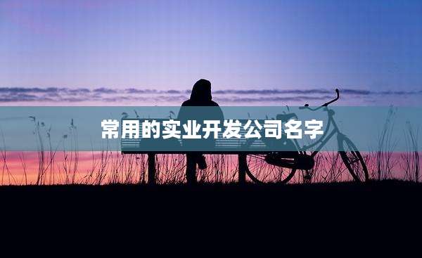 常用的实业开发公司名字