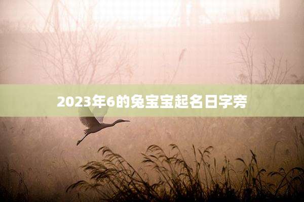 2023年6的兔宝宝起名日字旁