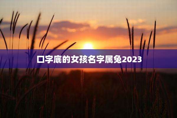 口字底的女孩名字属兔2023