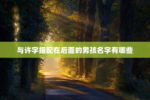 与许字搭配在后面的男孩名字有哪些