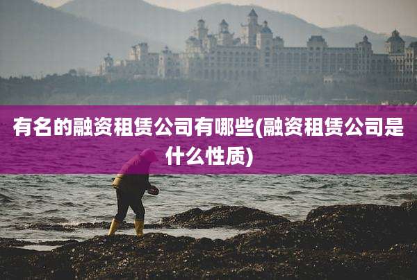 有名的融资租赁公司有哪些(融资租赁公司是什么性质)