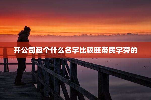 开公司起个什么名字比较旺带民字旁的