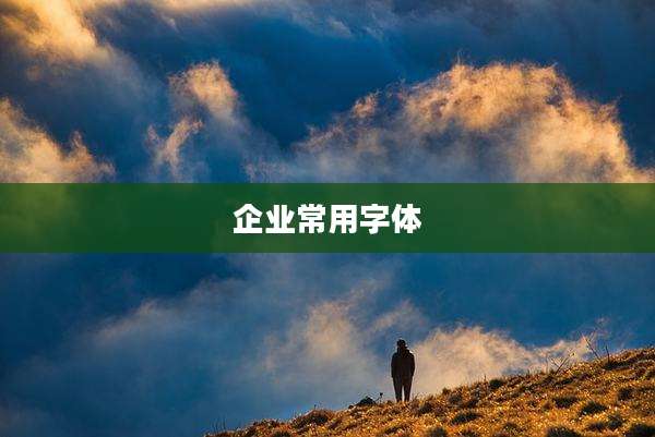 企业常用字体