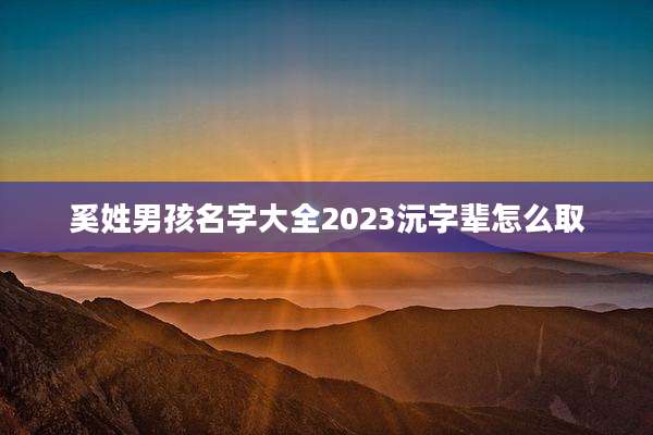 奚姓男孩名字大全2023沅字辈怎么取