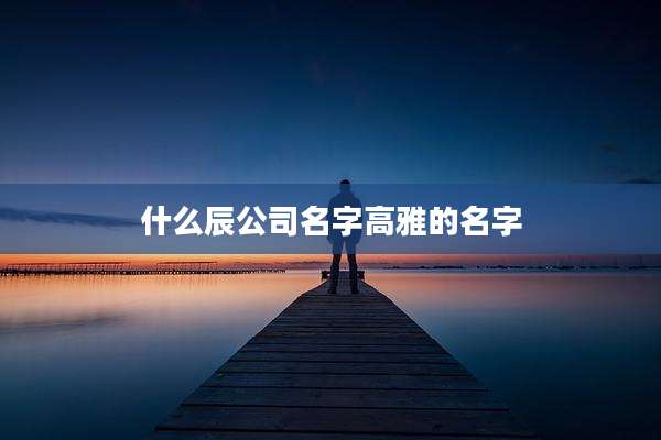 什么辰公司名字高雅的名字
