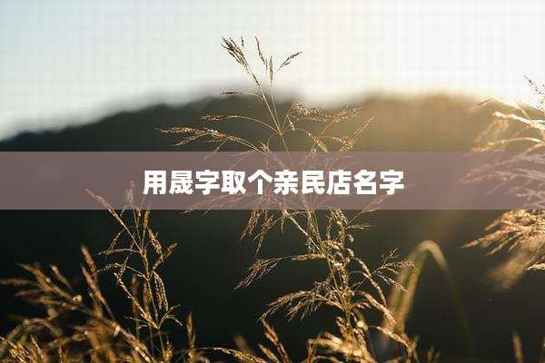用晟字取个亲民店名字