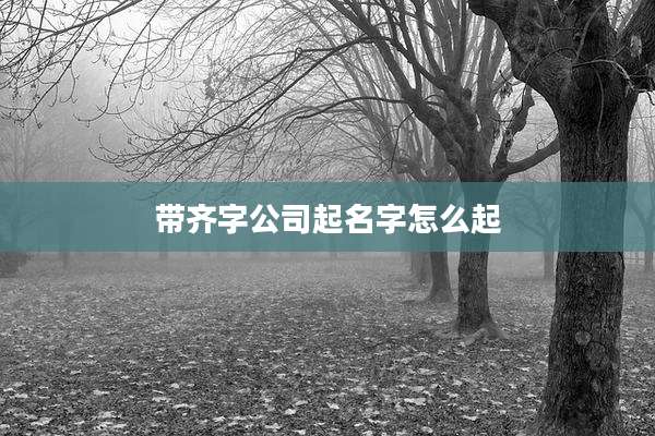 带齐字公司起名字怎么起
