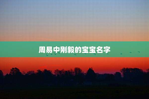 周易中刚毅的宝宝名字