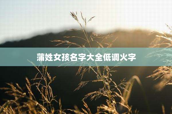 蒲姓女孩名字大全低调火字