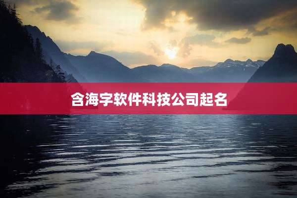 含海字软件科技公司起名