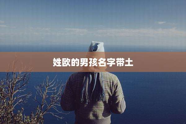 姓欧的男孩名字带土