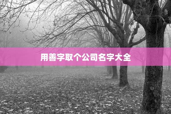 用善字取个公司名字大全