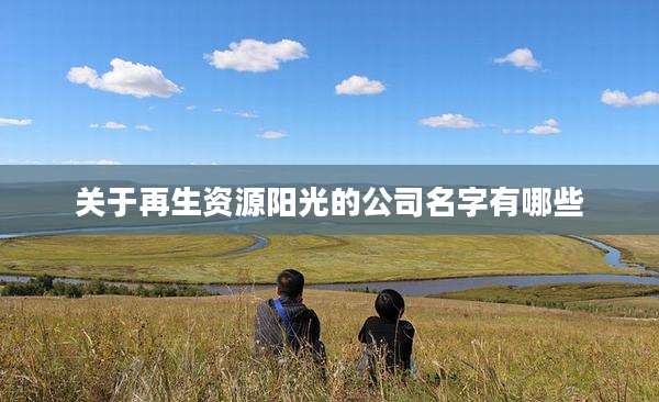 关于再生资源阳光的公司名字有哪些
