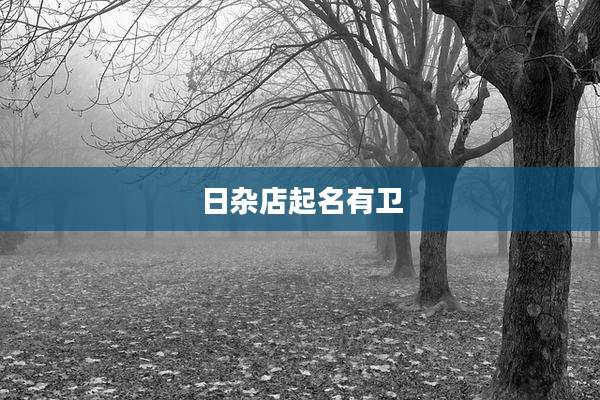 日杂店起名有卫