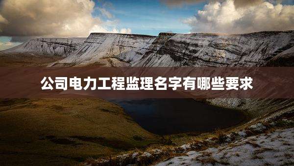 公司电力工程监理名字有哪些要求