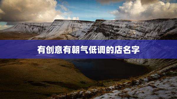 有创意有朝气低调的店名字