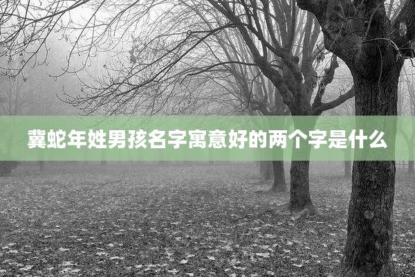 冀蛇年姓男孩名字寓意好的两个字是什么