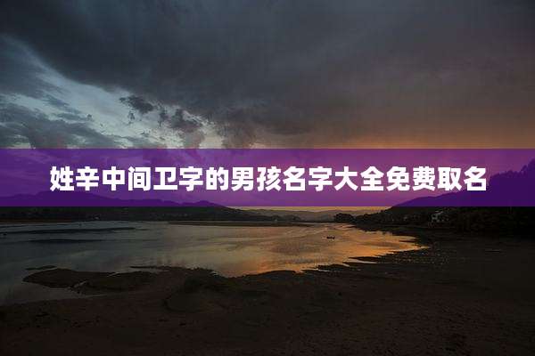 姓辛中间卫字的男孩名字大全免费取名