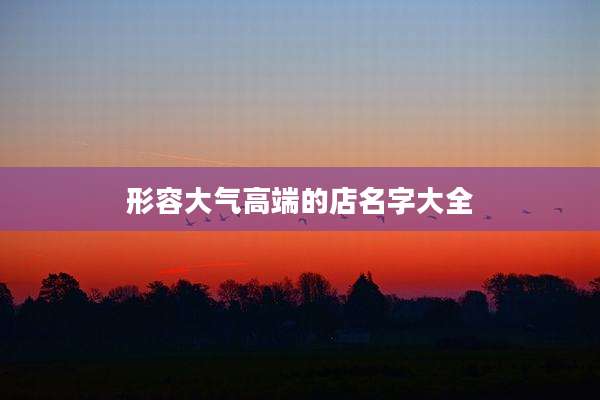 形容大气高端的店名字大全