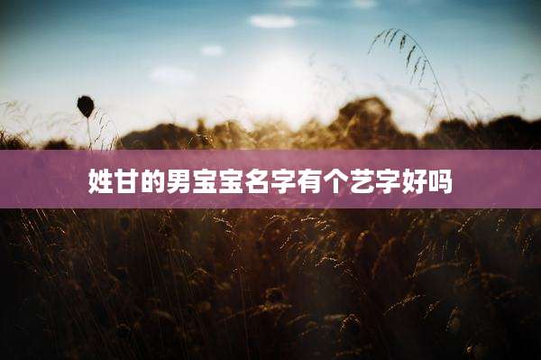 姓甘的男宝宝名字有个艺字好吗
