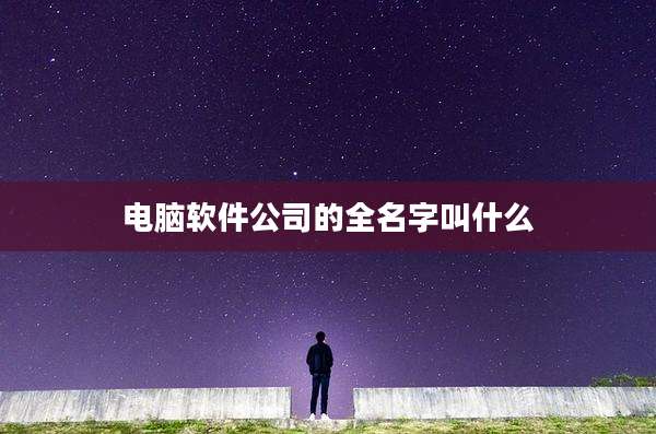 电脑软件公司的全名字叫什么