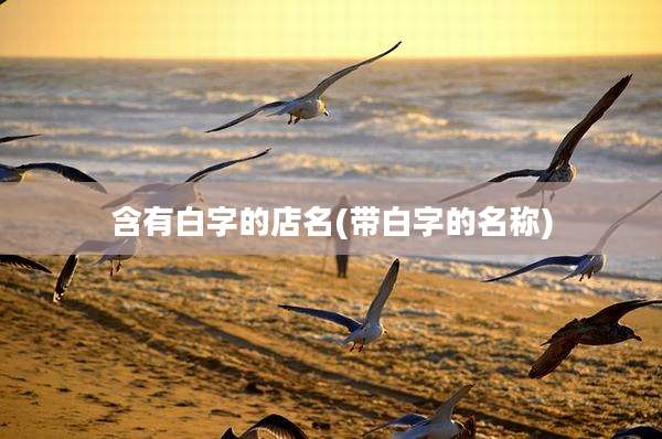 含有白字的店名(带白字的名称)