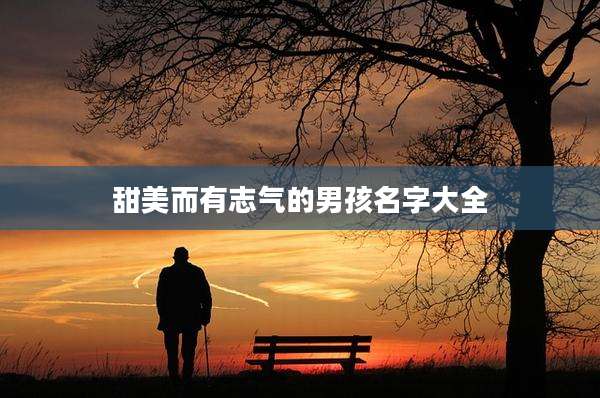 甜美而有志气的男孩名字大全