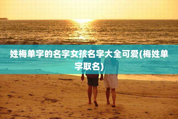 姓梅单字的名字女孩名字大全可爱(梅姓单字取名)