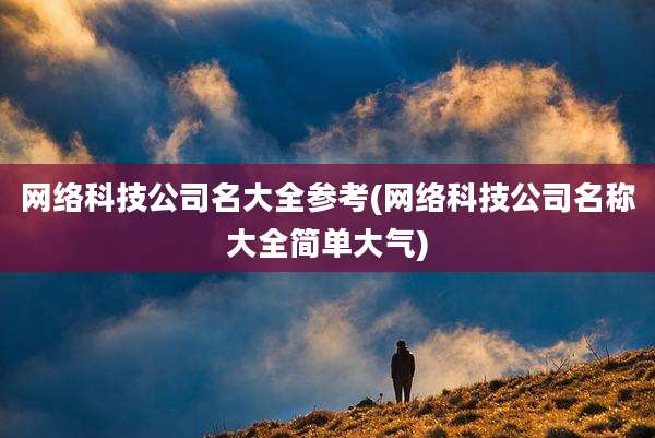 网络科技公司名大全参考(网络科技公司名称大全简单大气)