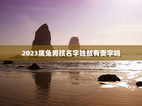 2023属兔男孩名字姓敖有贵字吗