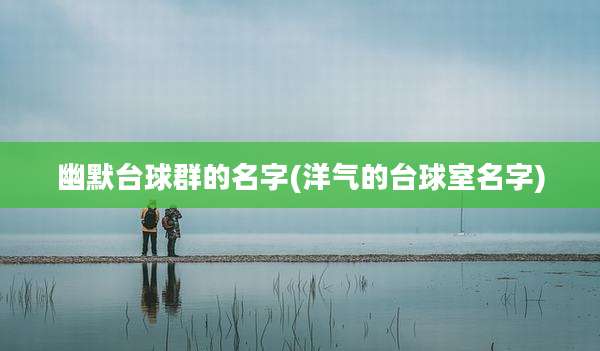 幽默台球群的名字(洋气的台球室名字)