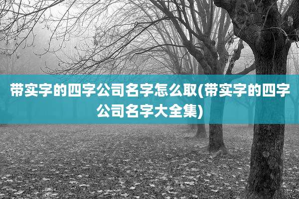 带实字的四字公司名字怎么取(带实字的四字公司名字大全集)
