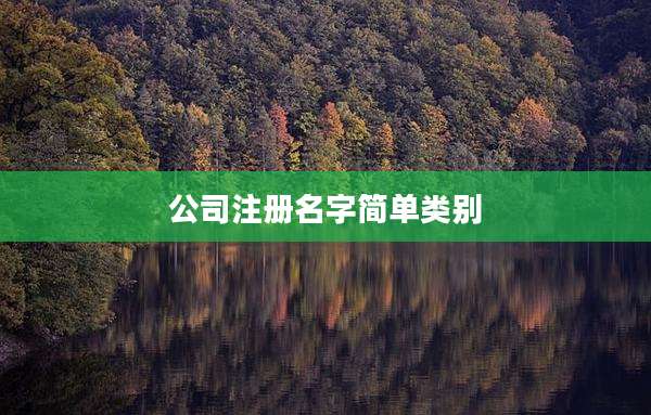 公司注册名字简单类别